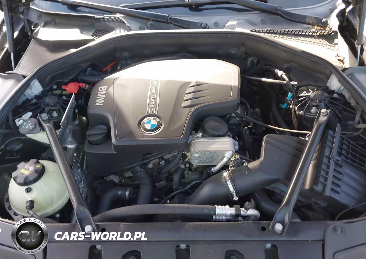 2015 BMW 528I xDrive VIN:WBA5A7C50FD627704 - 10