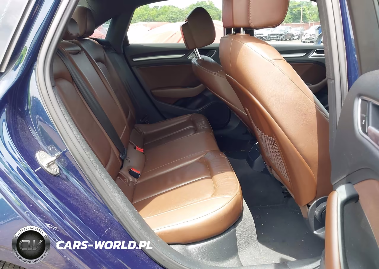 2017 Audi A3 Premium VIN:WAUAUGFF7H1066710 - 8