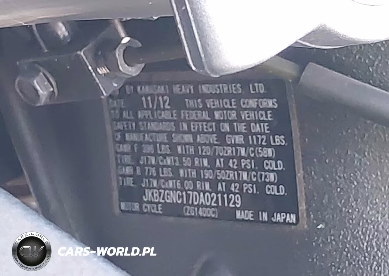 2013 Kawasaki Zg1400 C VIN:JKBZGNC17DA021129 - 10