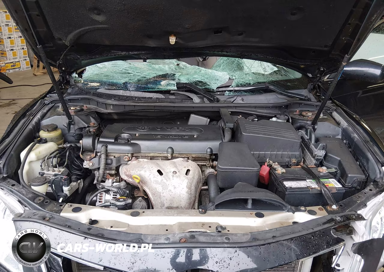 2009 Toyota Camry Xle VIN:4T4BE46K79R131394 - 10