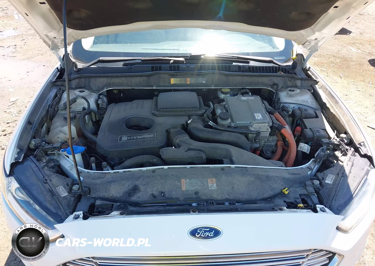 2016 Ford Fusion Hybrid Se VIN:3FA6P0LU6GR403694 - 10