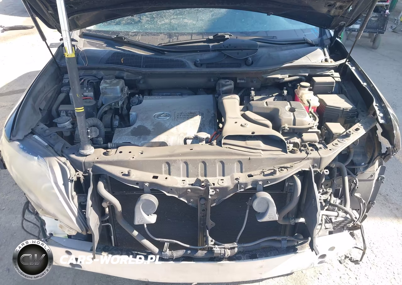 2010 Lexus Rx 450H VIN:JTJZB1BA2A2002560 - 10