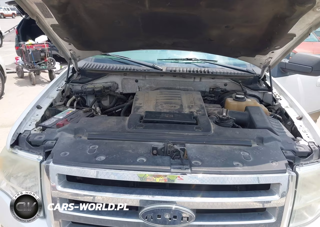 2007 Ford Expedition Eddie Bauer VIN:1FMFU17567LA66529 - 10