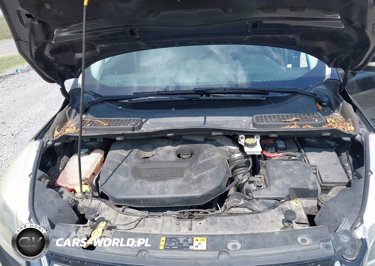 2013 Ford Escape Titanium VIN:1FMCU0J9XDUA33032 - 10