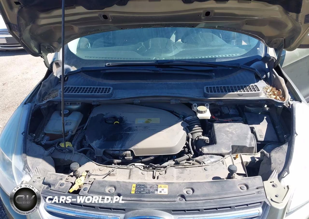 2013 Ford Escape Se VIN:1FMCU0GX2DUB97025 - 10
