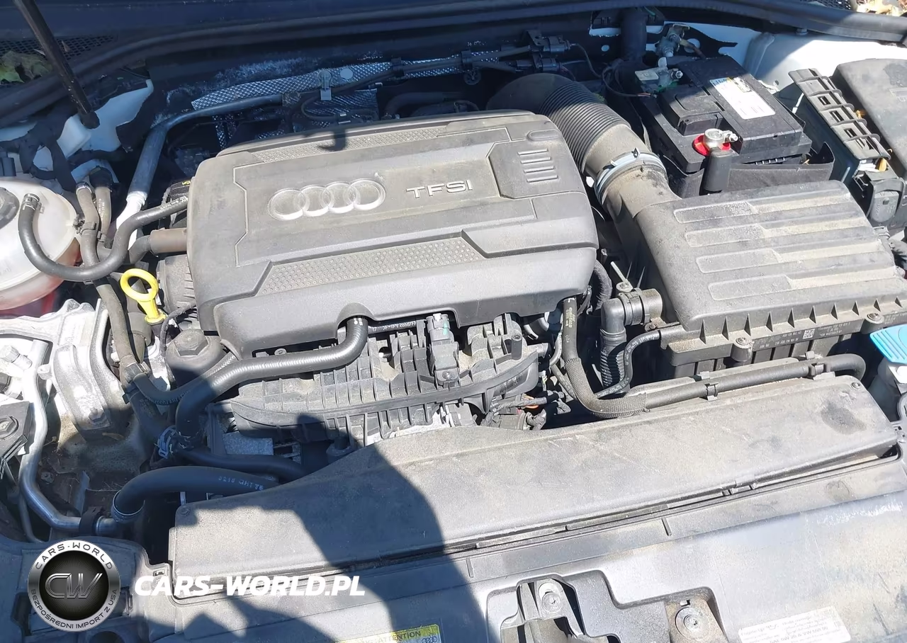 2019 Audi A3 45 Premium VIN:WAUBEGFF7K1016611 - 10