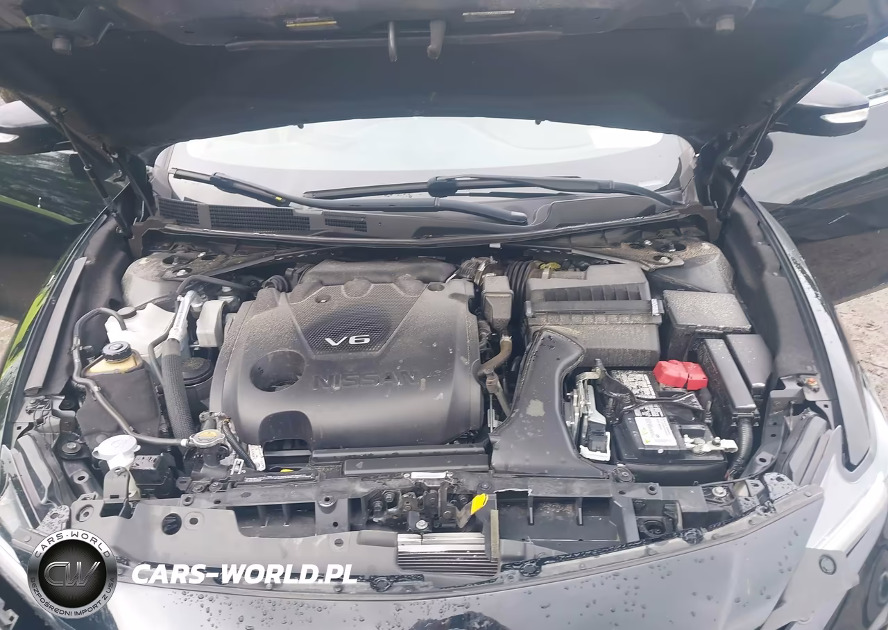 2019 Nissan Maxima 3.5 Sl VIN:1N4AA6AV6KC367152 - 10