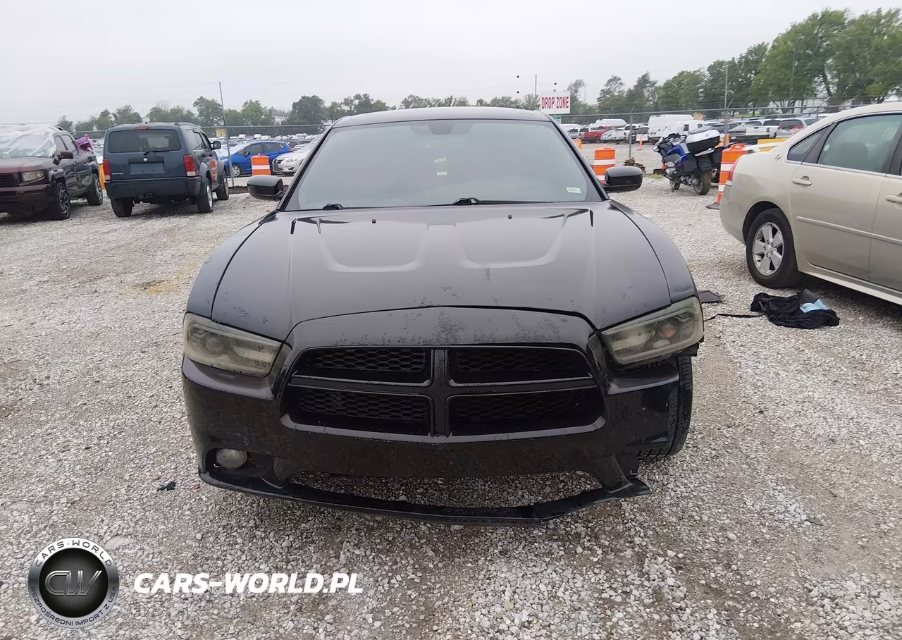2014 Dodge Charger R-T VIN:2C3CDXCT1EH250550 - 12