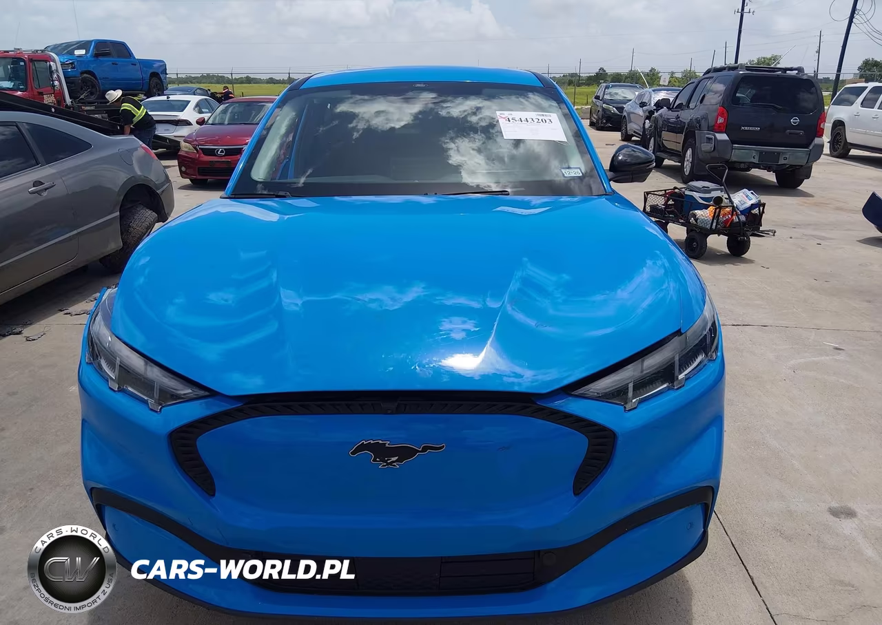 2024 Ford Mustang Mach-E Select VIN:3FMTK1R4XRMA41258 - 12