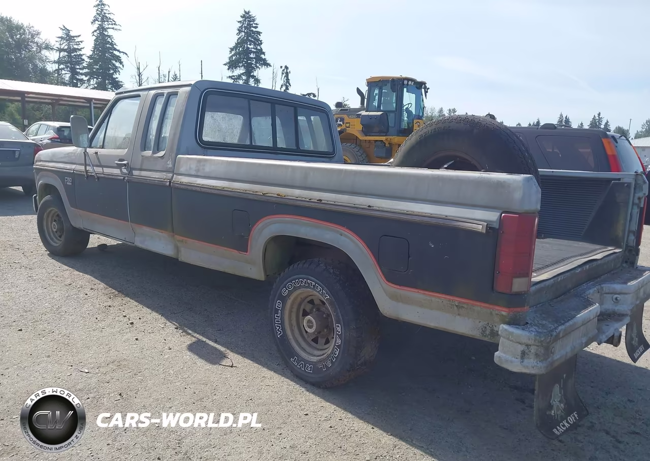 1985 Ford F150 VIN:1FTEX15HXFKA81835 - 3