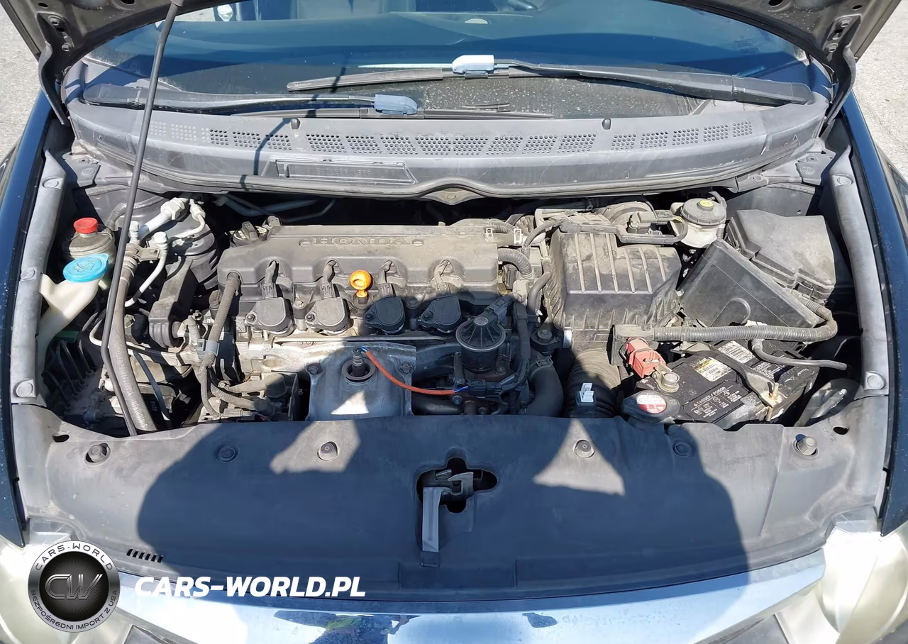 2010 Honda Civic Lx-S VIN:19XFA1F61AE066056 - 10