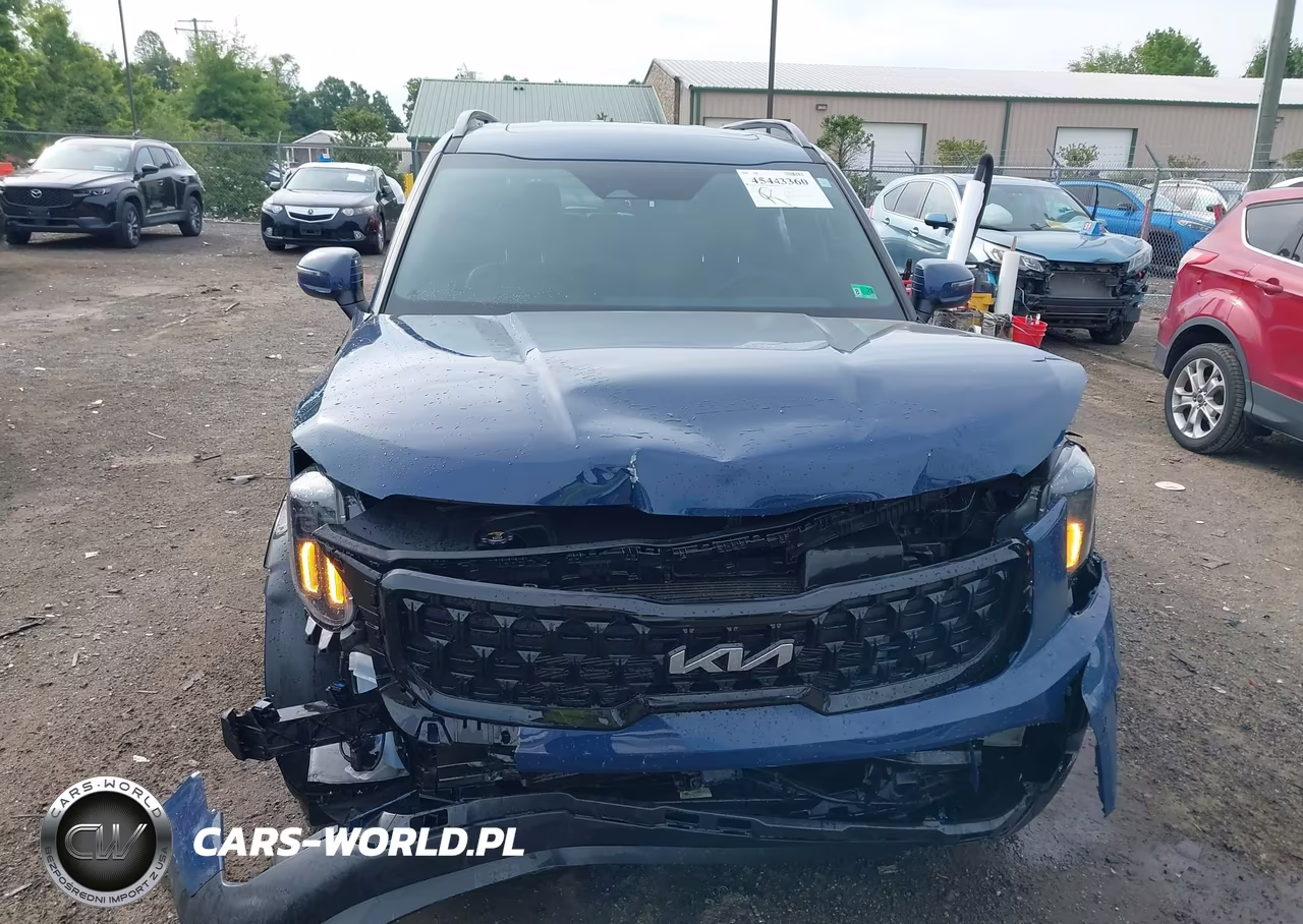 2024 Kia Telluride Ex X-Line VIN:5XYP3DGC5RG544921 - 12