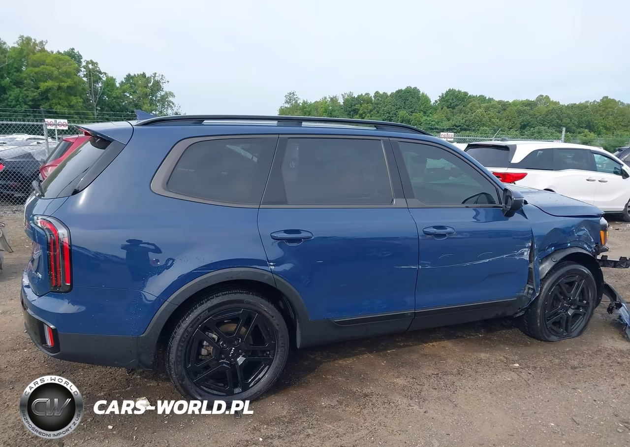 2024 Kia Telluride Ex X-Line VIN:5XYP3DGC5RG544921 - 13