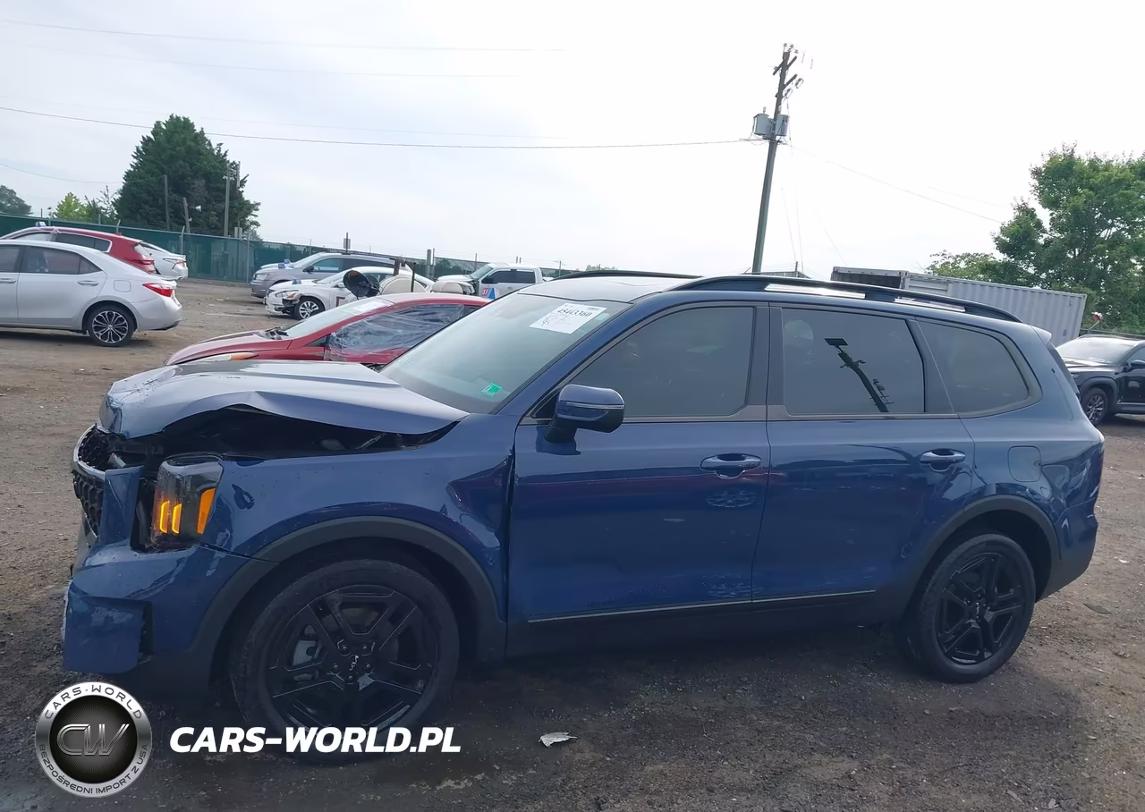 2024 Kia Telluride Ex X-Line VIN:5XYP3DGC5RG544921 - 14