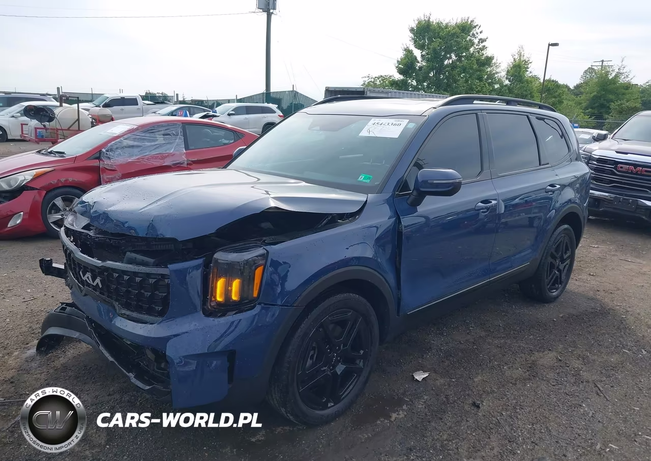2024 Kia Telluride Ex X-Line VIN:5XYP3DGC5RG544921 - 2