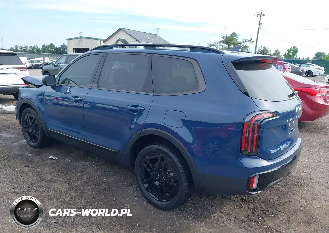 2024 Kia Telluride Ex X-Line VIN:5XYP3DGC5RG544921 - 3