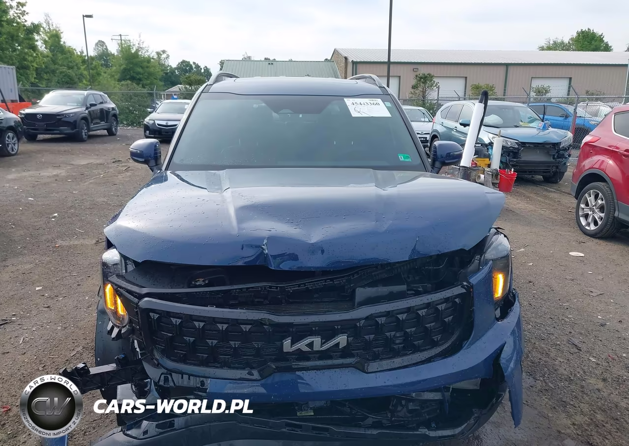 2024 Kia Telluride Ex X-Line VIN:5XYP3DGC5RG544921 - 6