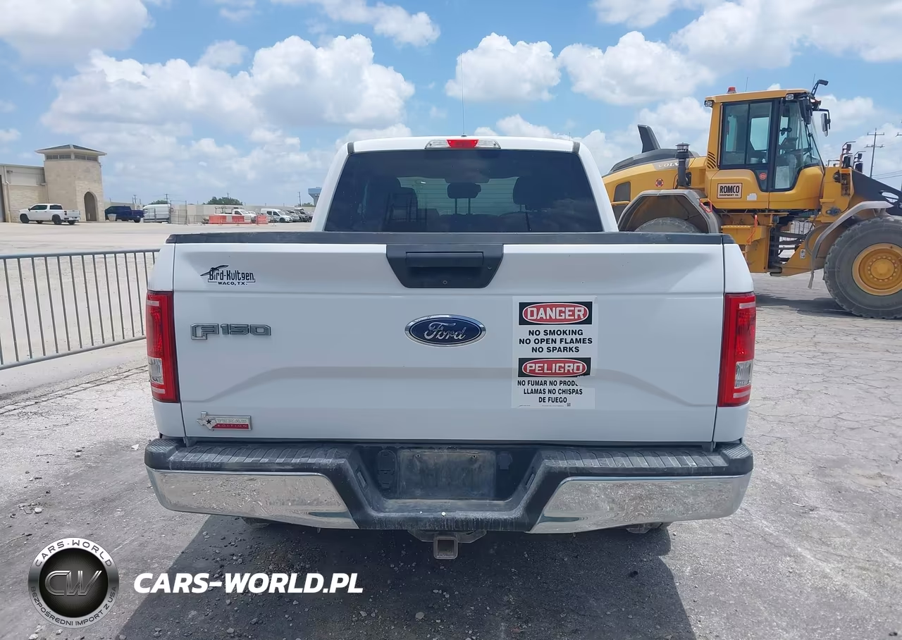 2016 Ford F-150 Lariat-Xl-Xlt VIN:1FTEX1CP0GKE72391 - 16