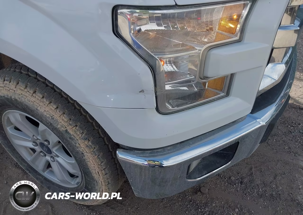 2016 Ford F-150 Lariat-Xl-Xlt VIN:1FTEX1CP0GKE72391 - 18