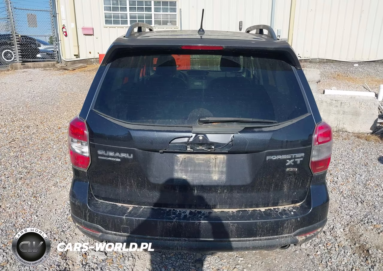 2015 Subaru Forester 2.0Xt Premium VIN:JF2SJGDC6FH816919 - 17