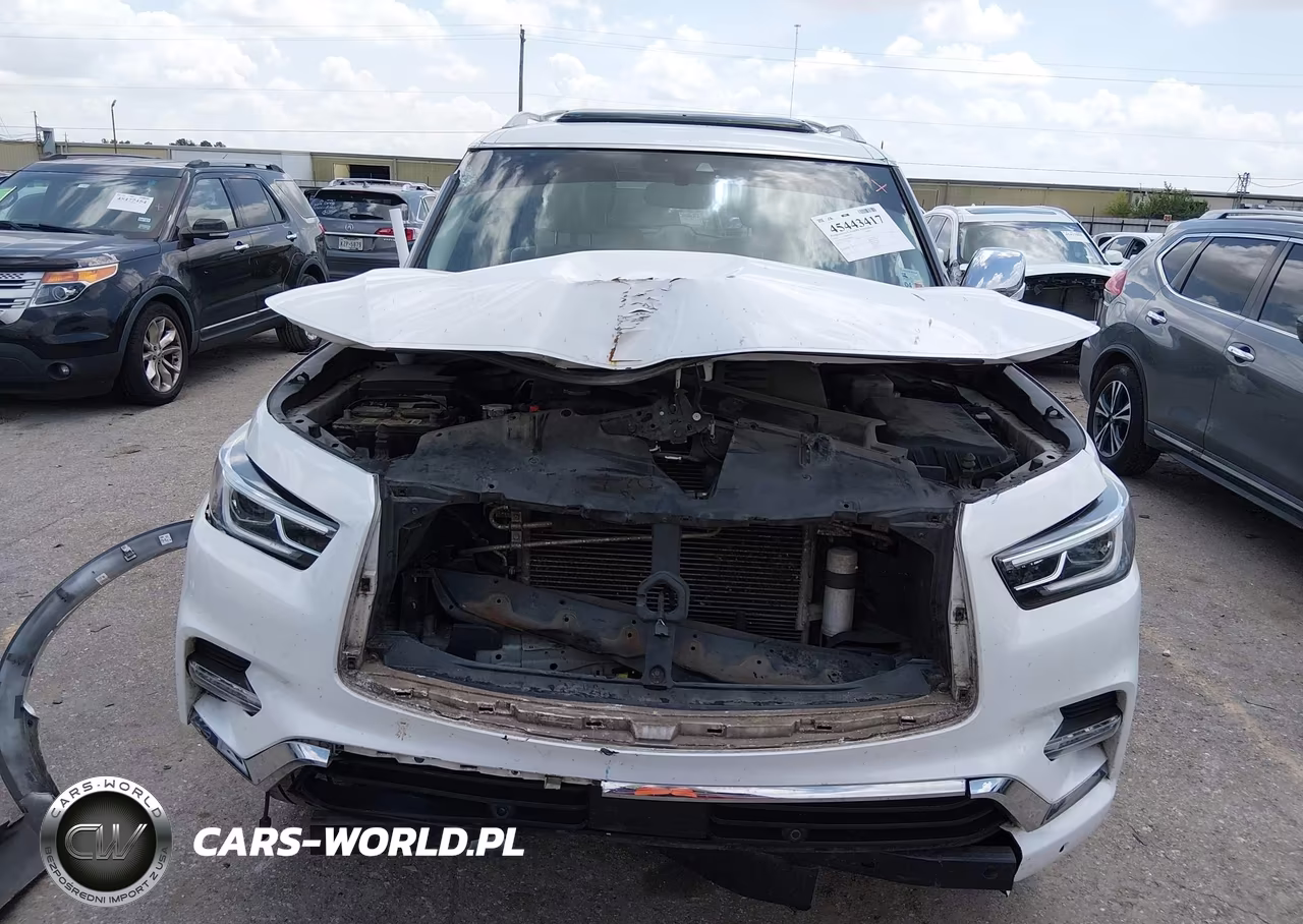 2019 Infiniti Qx80 Luxe VIN:JN8AZ2NF3K9687531 - 11
