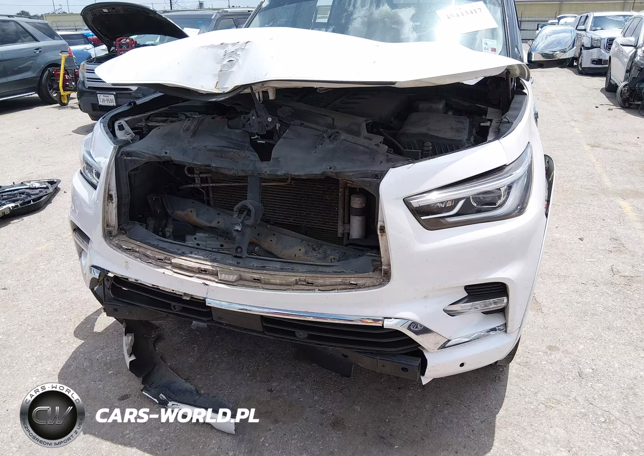 2019 Infiniti Qx80 Luxe VIN:JN8AZ2NF3K9687531 - 18