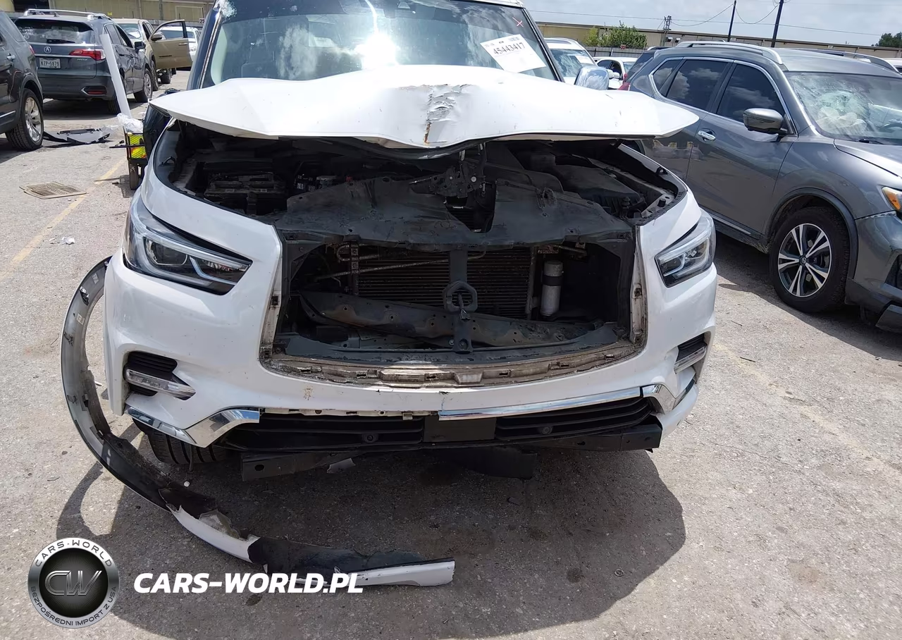 2019 Infiniti Qx80 Luxe VIN:JN8AZ2NF3K9687531 - 6