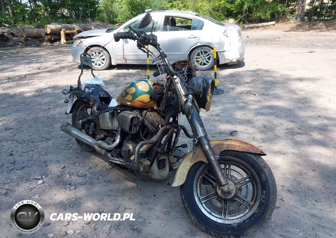 2000 Harley-Davidson Flstf