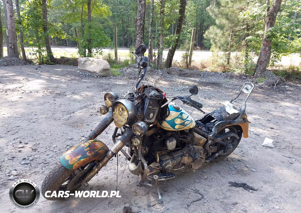 2000 Harley-Davidson Flstf VIN:1HD1BMY1XYY061449 - 2