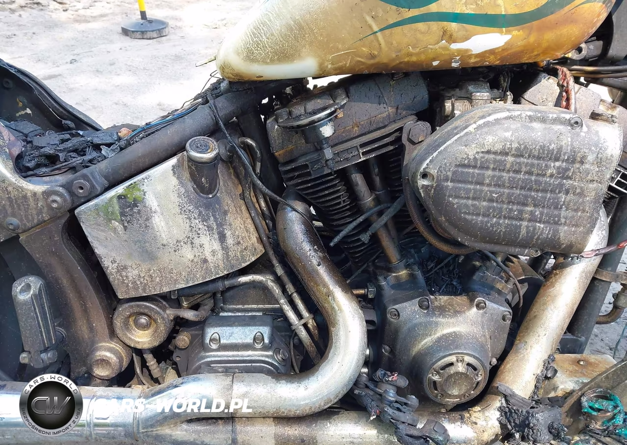 2000 Harley-Davidson Flstf VIN:1HD1BMY1XYY061449 - 8