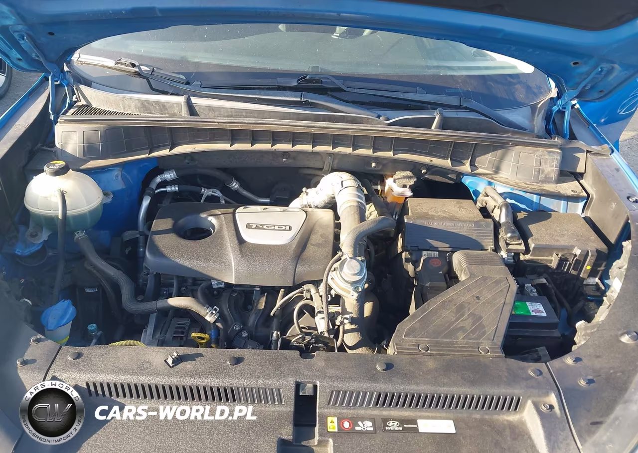 2017 Hyundai Tucson Eco VIN:KM8J33A21HU419861 - 10