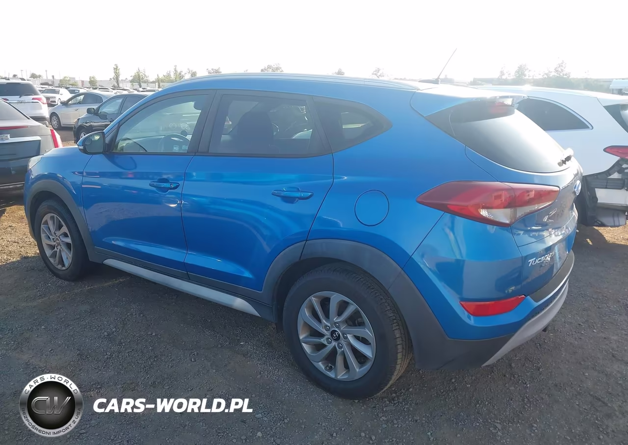 2017 Hyundai Tucson Eco VIN:KM8J33A21HU419861 - 3