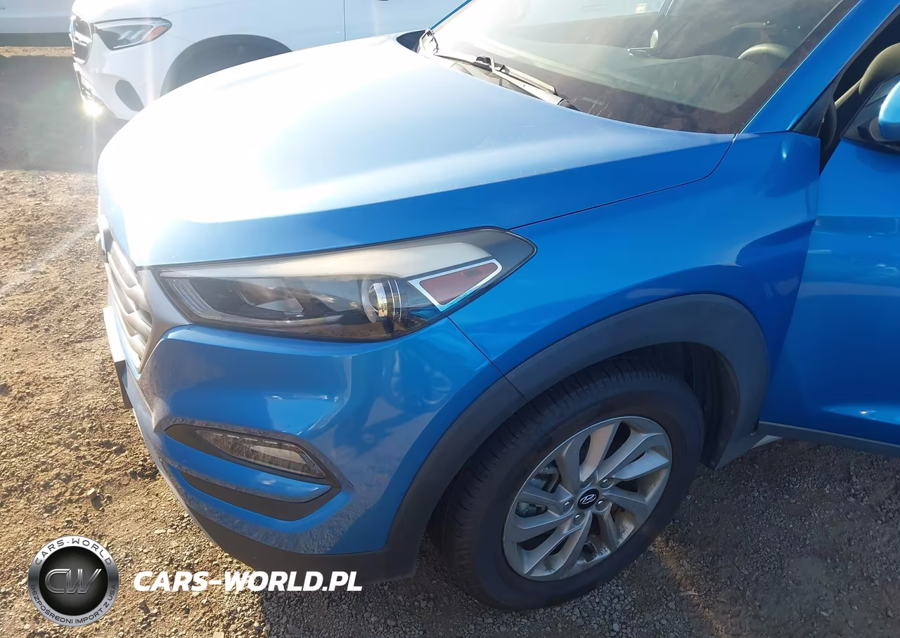 2017 Hyundai Tucson Eco VIN:KM8J33A21HU419861 - 6