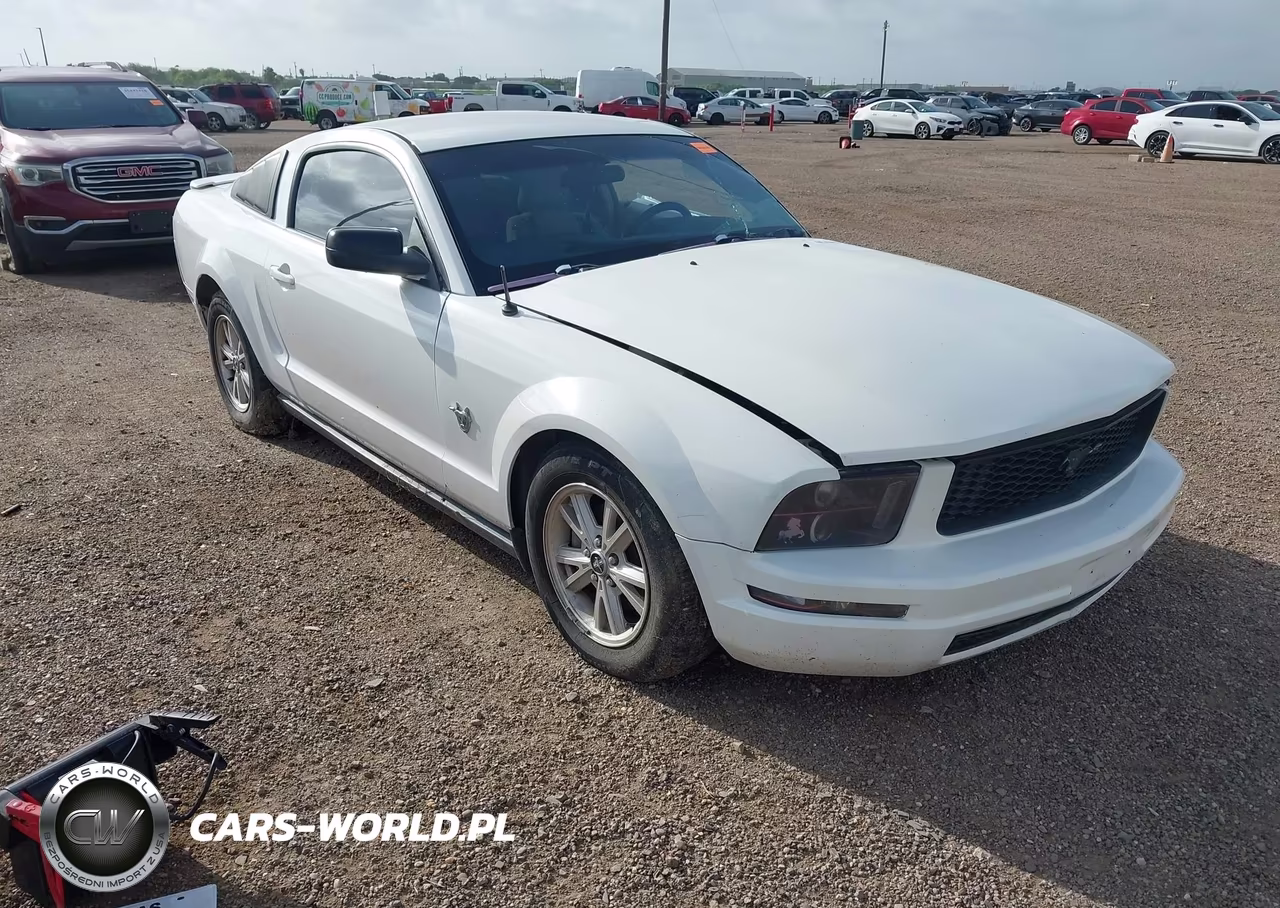 2009 Ford Mustang V6-V6 Premium