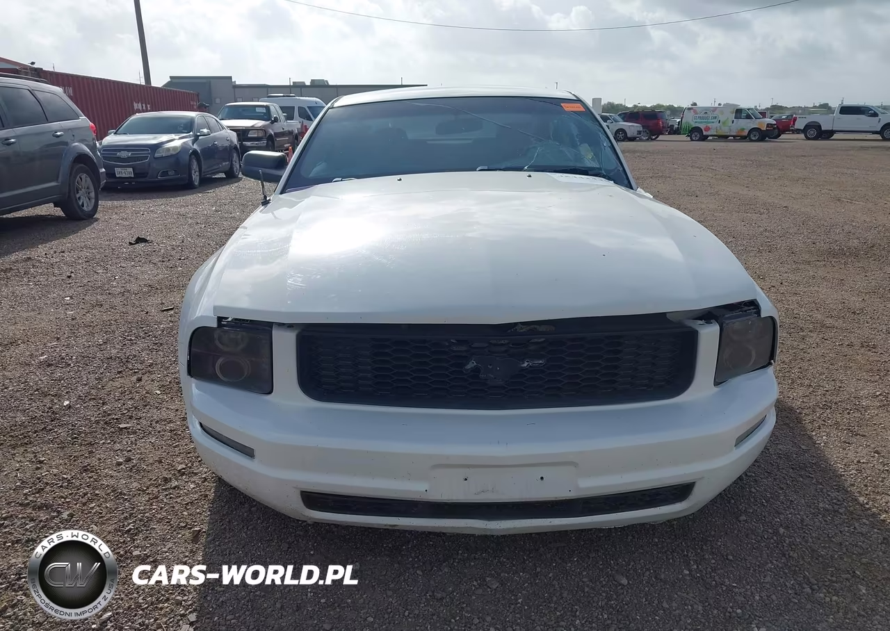 2009 Ford Mustang V6-V6 Premium VIN:1ZVHT80N095114727 - 12