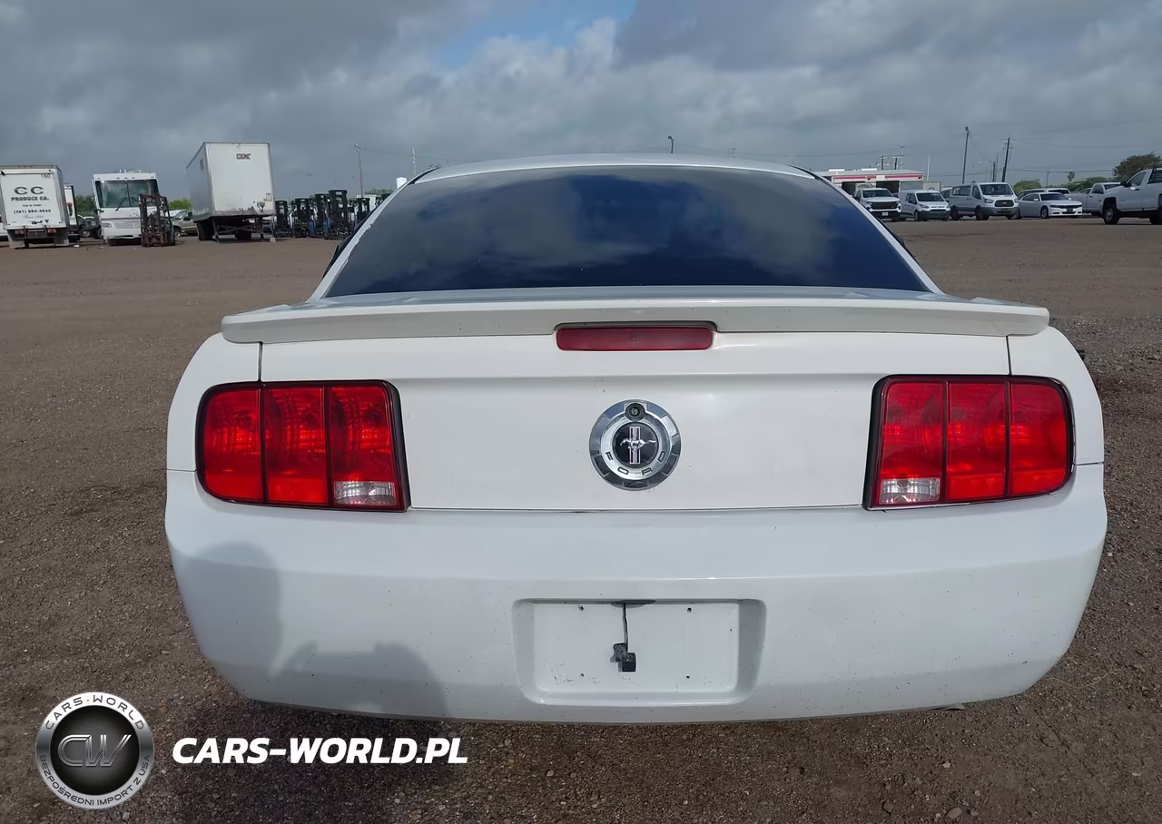 2009 Ford Mustang V6-V6 Premium VIN:1ZVHT80N095114727 - 16
