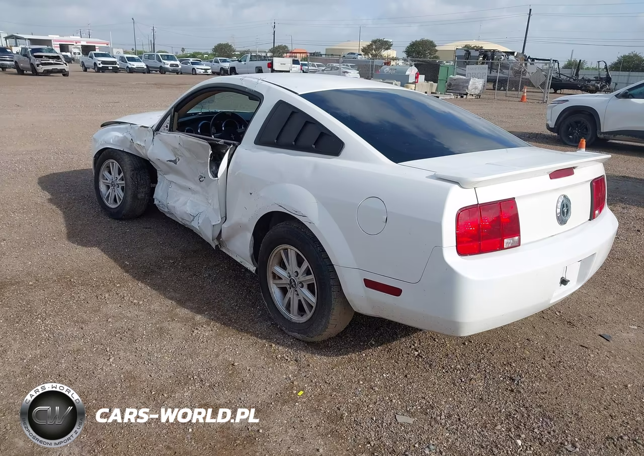 2009 Ford Mustang V6-V6 Premium VIN:1ZVHT80N095114727 - 3