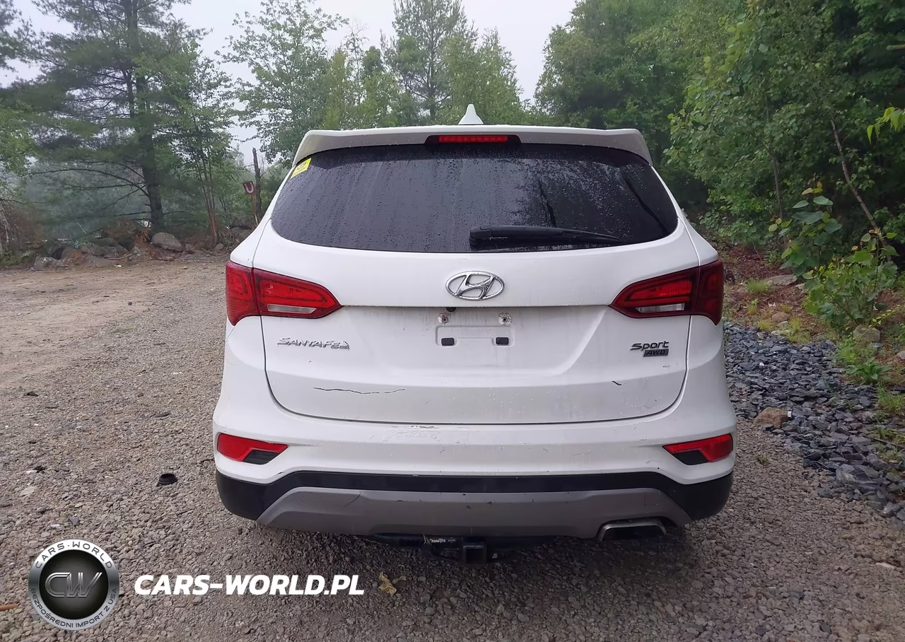 2017 Hyundai Santa Fe Sport 2.4L VIN:5NMZTDLB0HH000238 - 16