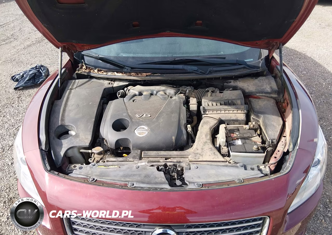 2013 Nissan Maxima 3.5 Sv VIN:1N4AA5AP6DC846122 - 10