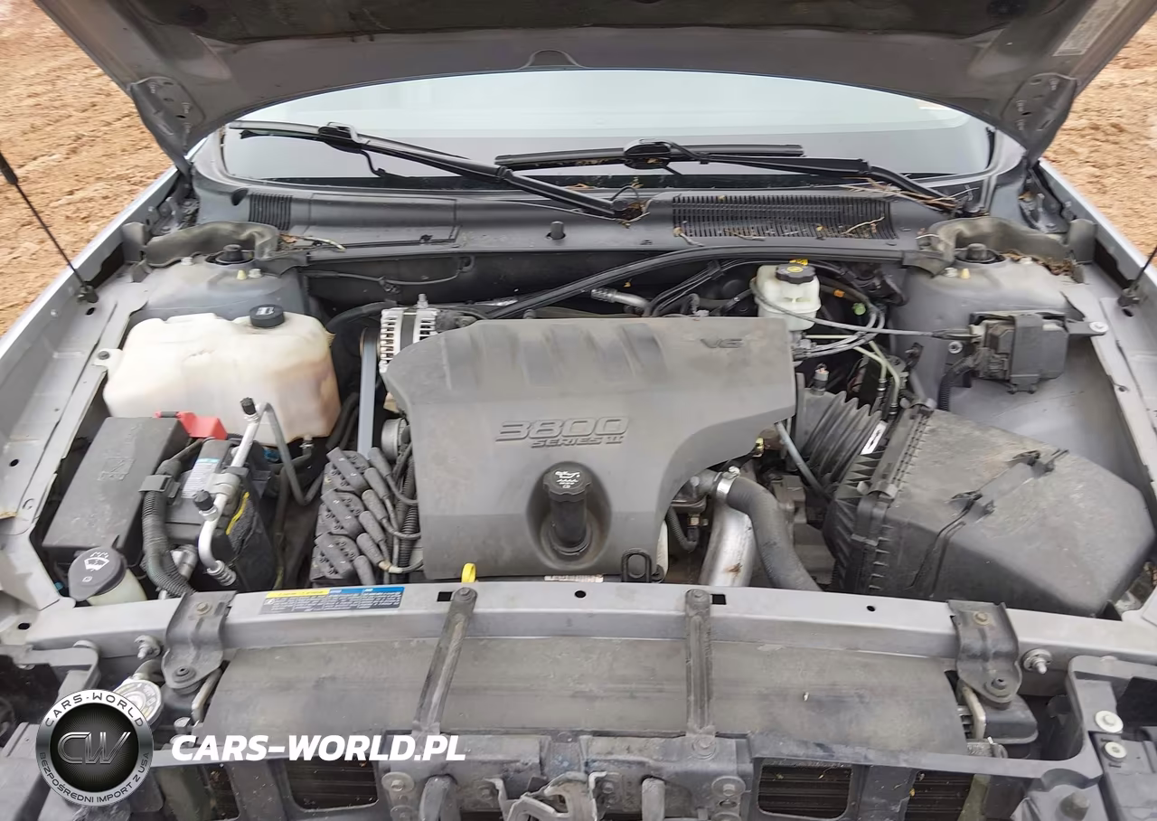 2005 Buick Lesabre Custom VIN:1G4HP52K15U176559 - 10