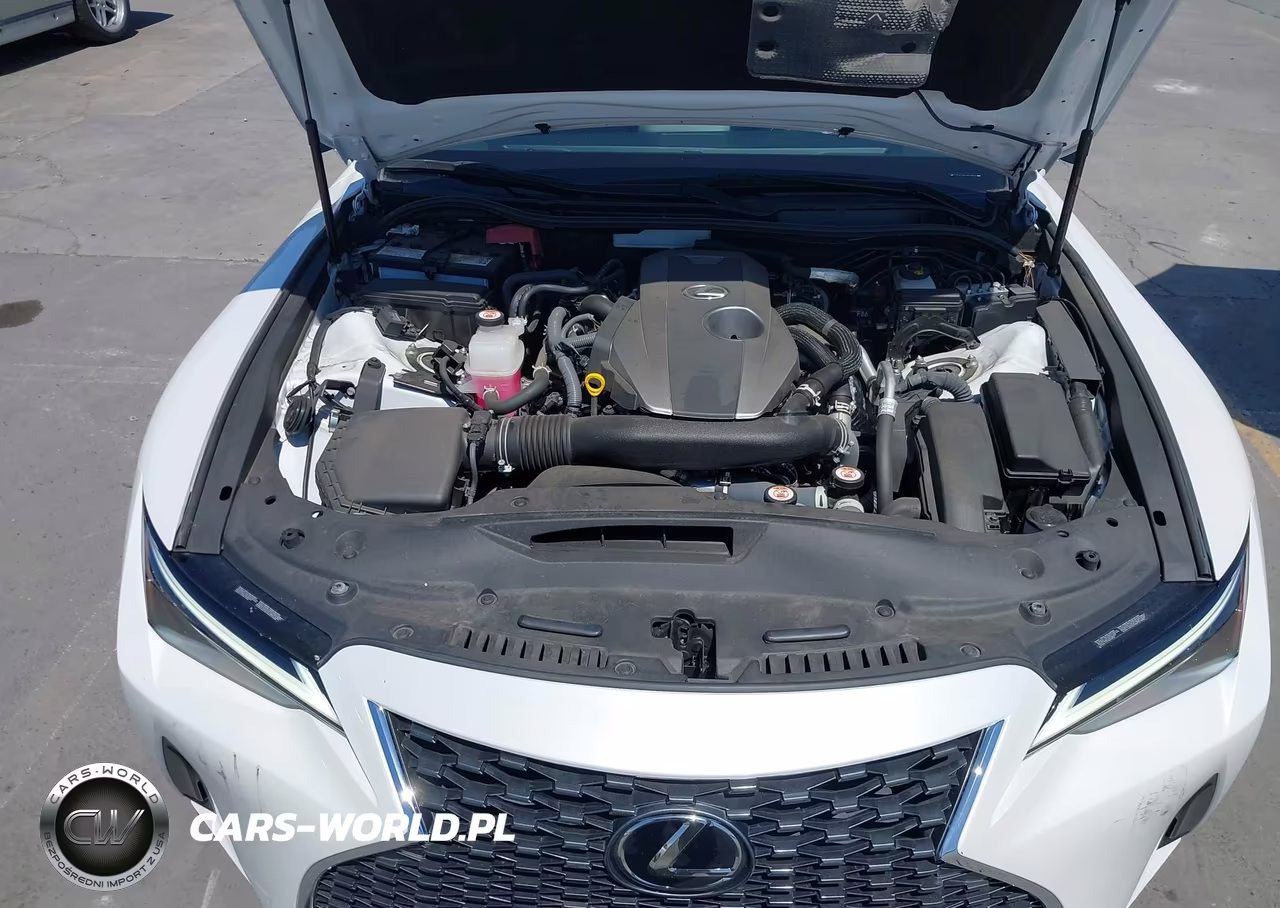 2023 Lexus Is 300 VIN:JTHCA1D2XP5125532 - 10