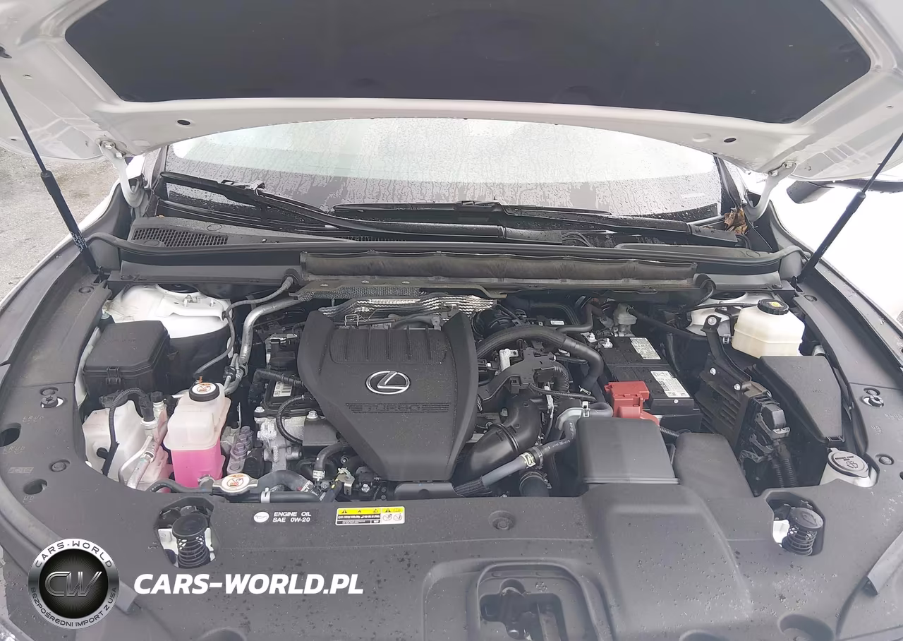 2024 Lexus Rx 350 Premium VIN:2T2BAMCA9RC084108 - 10