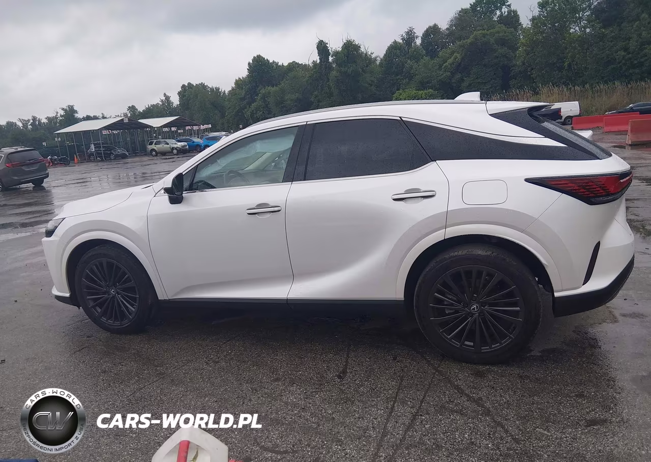 2024 Lexus Rx 350 Premium VIN:2T2BAMCA9RC084108 - 14
