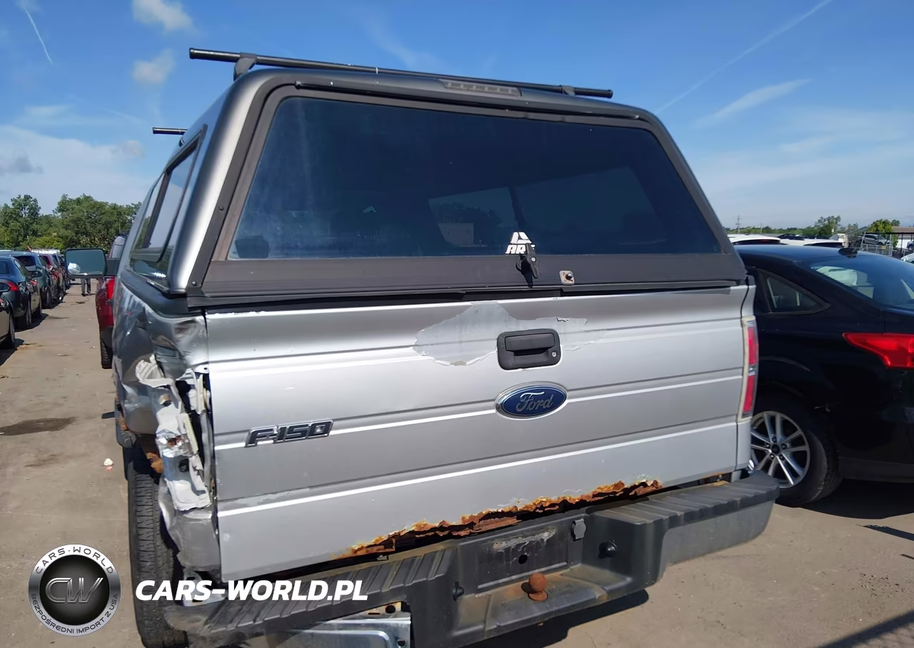2010 Ford F-150 Stx-Xl-Xl W-Mid-Box Prep-Xlt-Xlt W-Mid-Box Prep VIN:1FTMF1CW3AKA66960 - 16