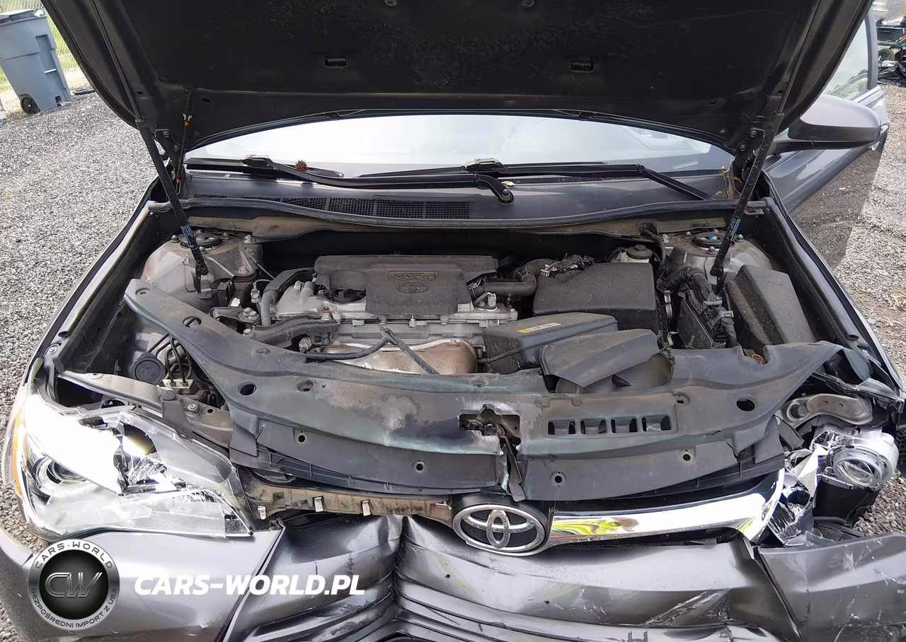 2017 Toyota Camry Xle VIN:4T1BF1FKXHU755324 - 10
