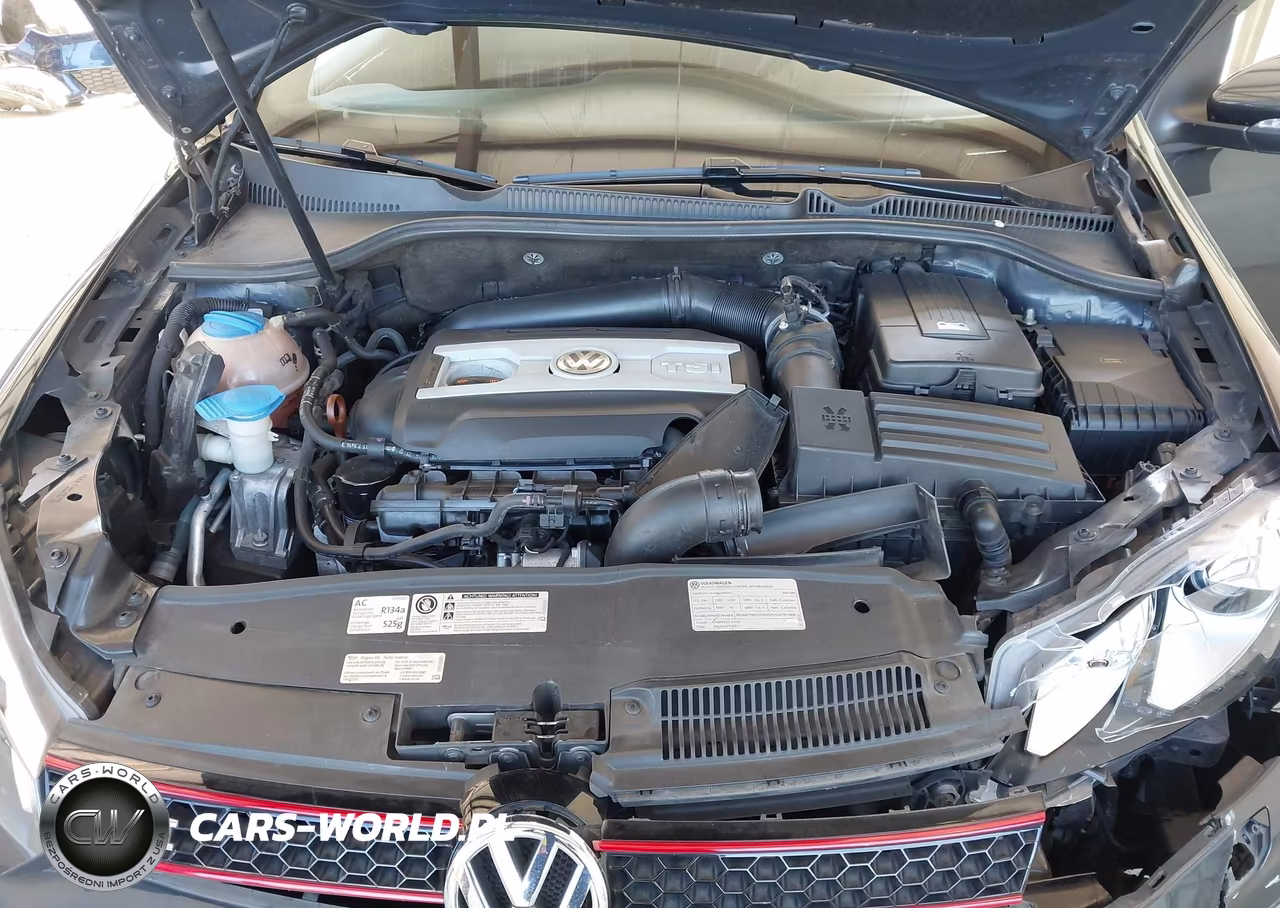 2013 Volkswagen Gti 2-Door VIN:WVWFD7AJ6DW022506 - 10