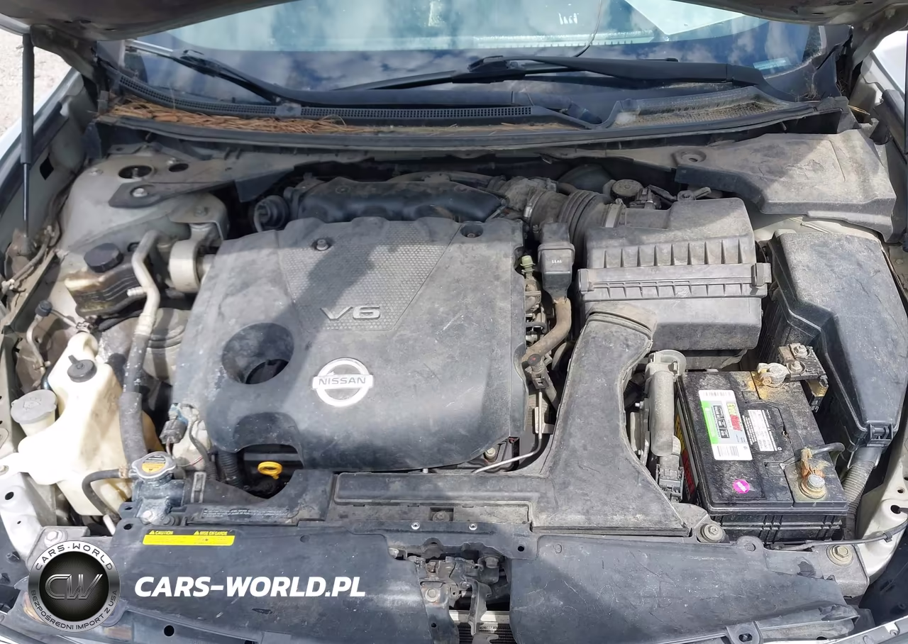 2009 Nissan Maxima 3.5 Sv VIN:1N4AA51E89C847973 - 10