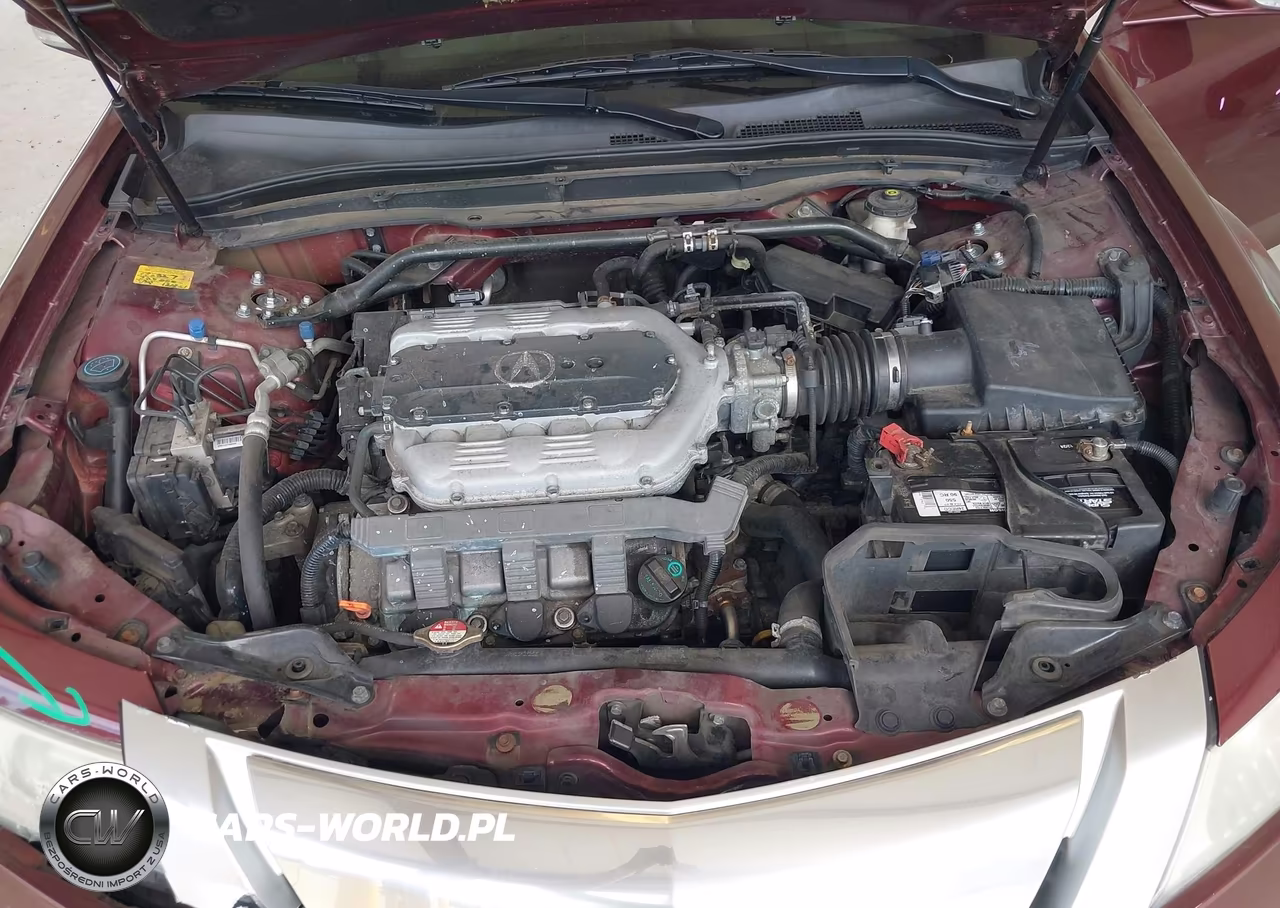 2009 Acura Tl 3.5 VIN:19UUA86539A013754 - 10
