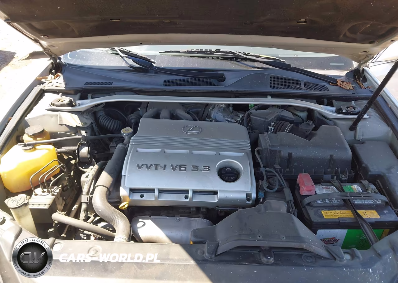 2004 Lexus Es 330 VIN:JTHBA30G540008605 - 10