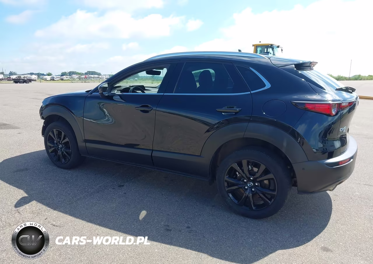2021 Mazda Cx-30 2.5 Turbo Premium Plus VIN:3MVDMBEY6MM262820 - 15